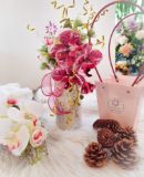 Picture of Femoss Bottle: Reserva Insitu