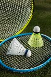 Picture of Shuttlecock