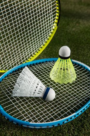 Picture of Shuttlecock