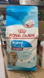 Picture of Royal Canin Indoor Adult 1.5 kg