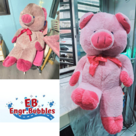 Stuffed Toy Laundry Wash