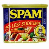 Picture of Spam 