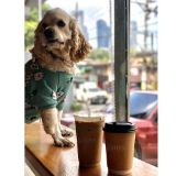 Picture of Caramel Latte 8oz