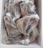 Picture of Tuna Panga pack Raw
