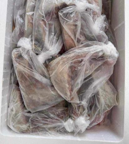 Picture of Tuna Panga pack Raw