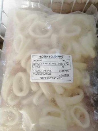 Picture of Squid Ring