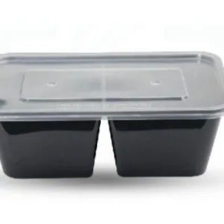 extra container (2 divison)