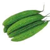 Picture of Ampalaya