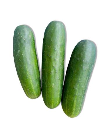 Picture of Pipino