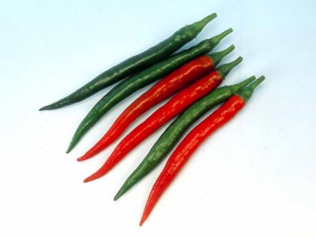 Picture of Paitan / Siling Haba