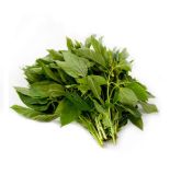 Picture of Tugabang / Saluyot (Per Bugkos)