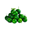 Picture of Kalamansi 