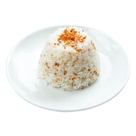 Garlic Rice
