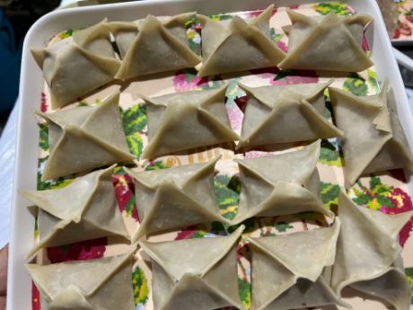 Picture of Chinese Dumpling